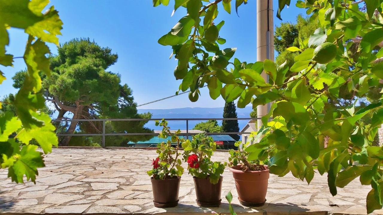 Apartments Gajo Omiš Pokoj fotografie